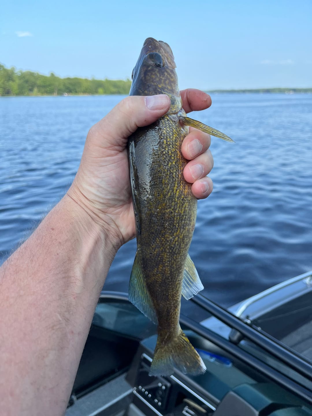 Customer photo review of Yellow 8X- Ultra Performance 8 Strand