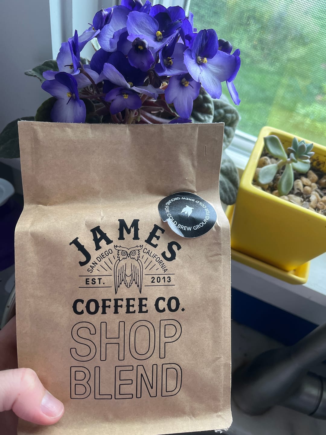 Customer photo review of Shop Blend