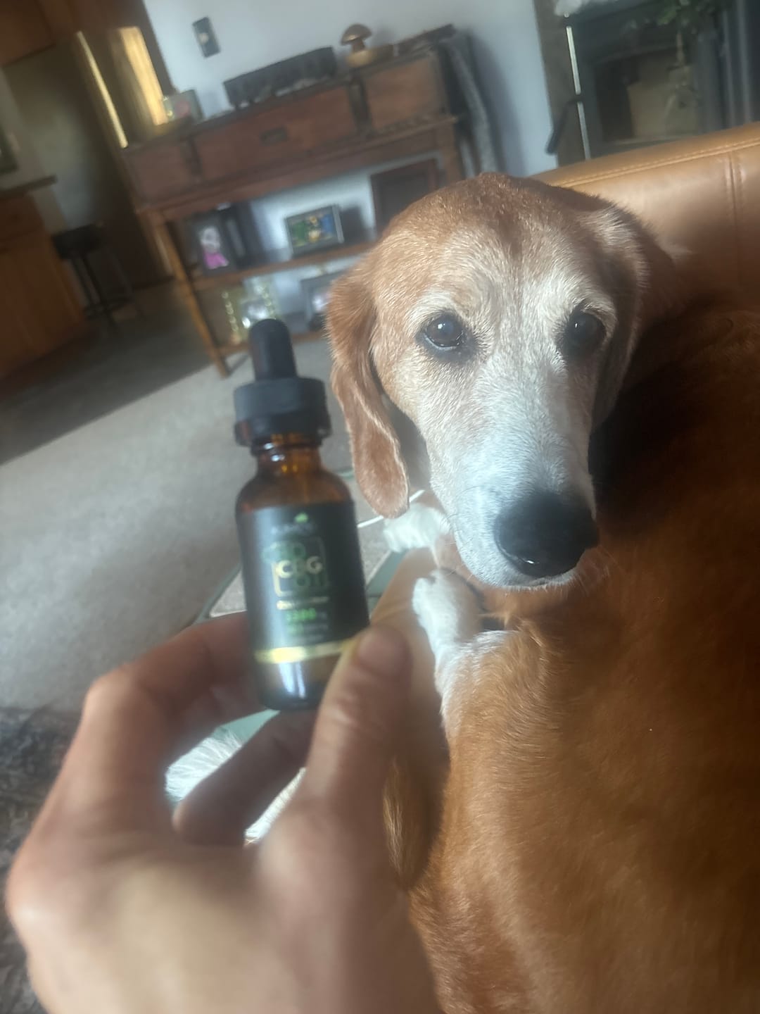 Customer photo review of Full Spectrum CBG Oil 3300mg
