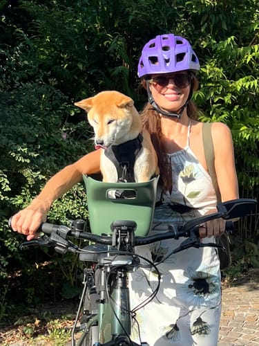 Customer photo review of Kvisp Dog Bike Carrier