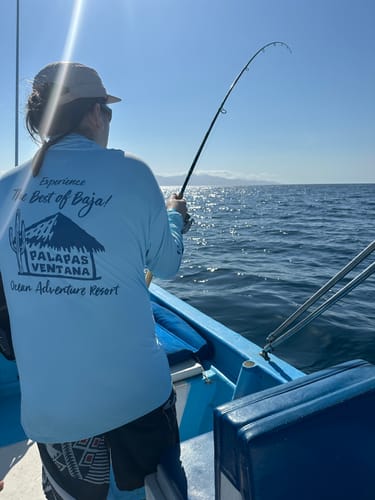 Customer photo review of 9'4" No Excuses Surf Travel Rod with Tube Medium-Heavy Action 3/4oz to 3oz