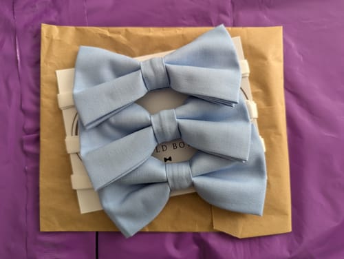 undefined review of Cornflower Blue Bow Tie image 1 out of 1