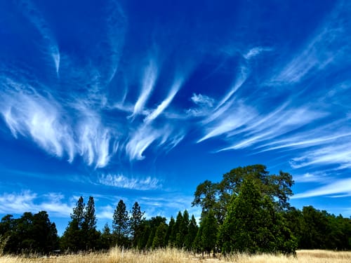 Customer photo review of Tsipouro Zacharia with anise - 700ml