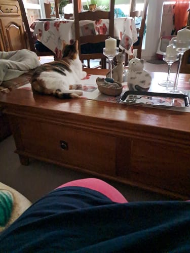 Customer photo review of HiMALAYA Dolphin Baby