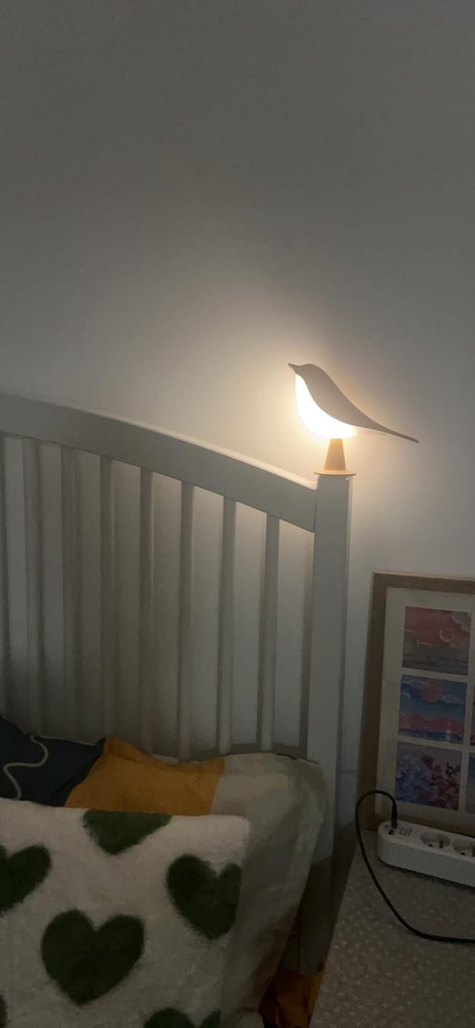 Customer photo review of BirdZen - Lampe de Chevet