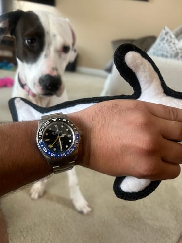 Customer photo review of Oceaneva Men's GMT TITANIUM Automatic Deep Marine Explorer 1250M Black Ceramic Bezel Watch