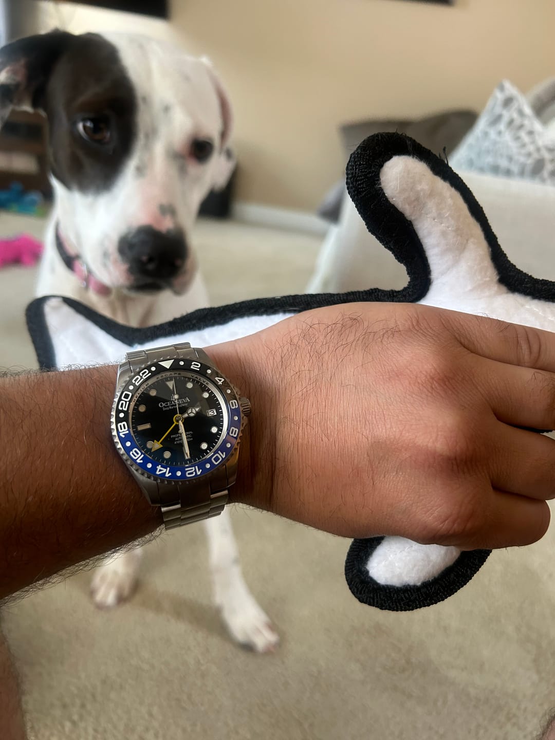 Customer photo review of Oceaneva Men's GMT TITANIUM Automatic Deep Marine Explorer 1250M Black Ceramic Bezel Watch