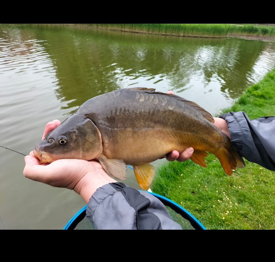 Customer photo review of FLAVOURED (BAIT BAND) PELLETS 300g