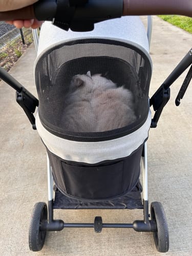 Customer photo review of PaWz 4 Wheels Pet Stroller Deluxe