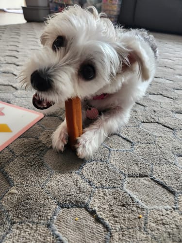 Customer photo review of MIX FLAVORED (Strawberry, Banana, Pumpkin, & Blueberry): A PACK OF 4 STICKS