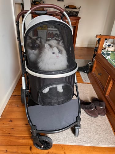 Customer photo review of PaWz 4 Wheels Pet Stroller Deluxe