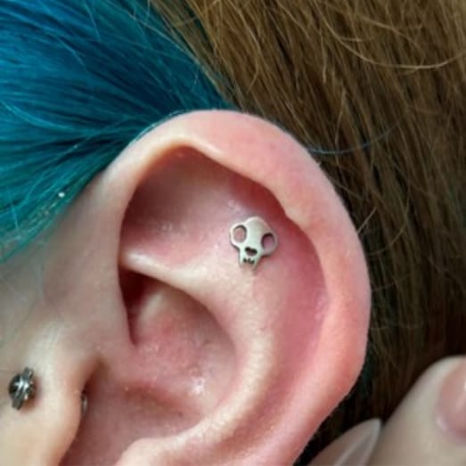 Customer photo review of Cat Skull Silhouette Nose Stud + Earring