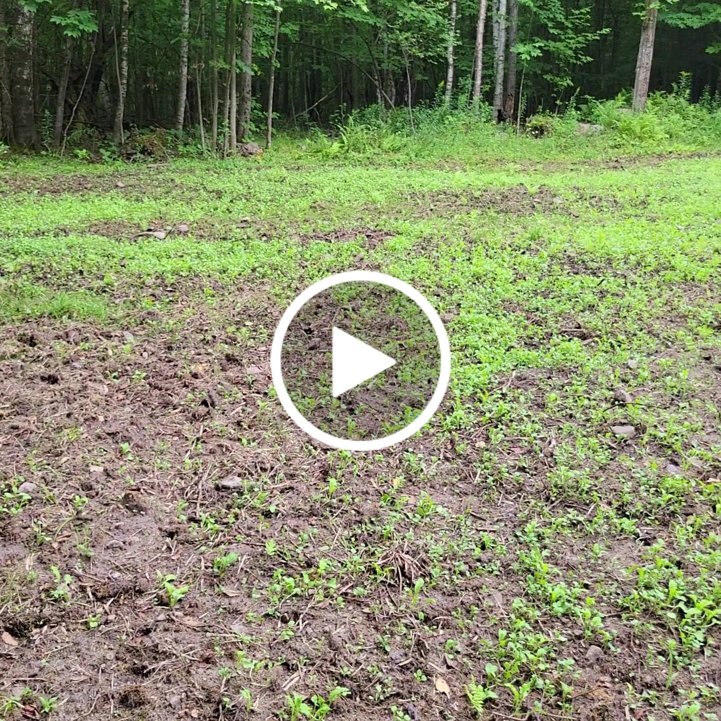 Customer video review of Big Sexy™