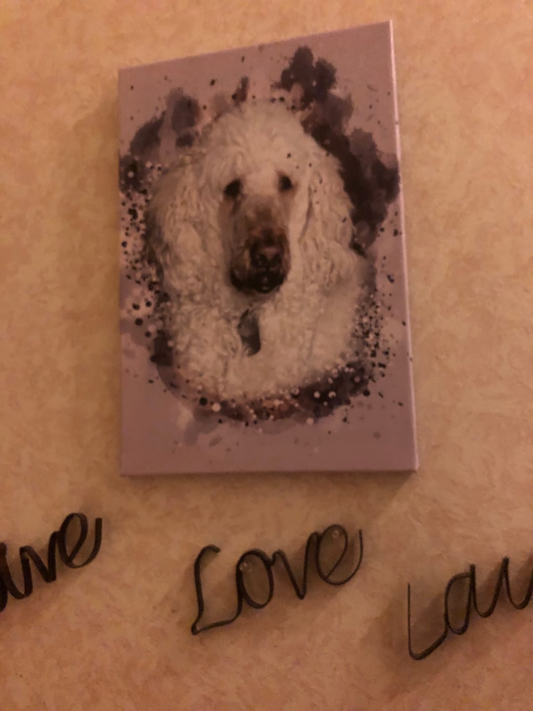 Customer photo review of Personalized Pet Art - Canvas