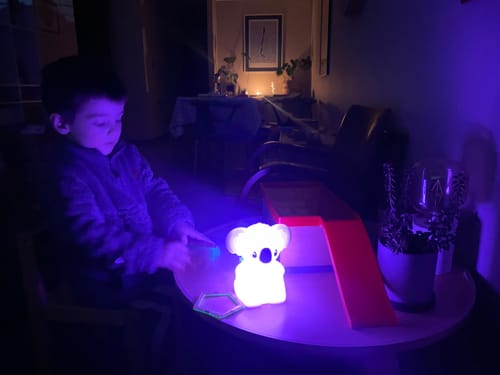 Customer photo review of Luz de Noche Koala