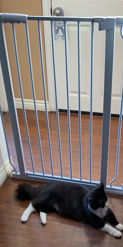Customer photo review of FairyBaby 40" Extra Tall Baby Gate in Heavy Duty Design