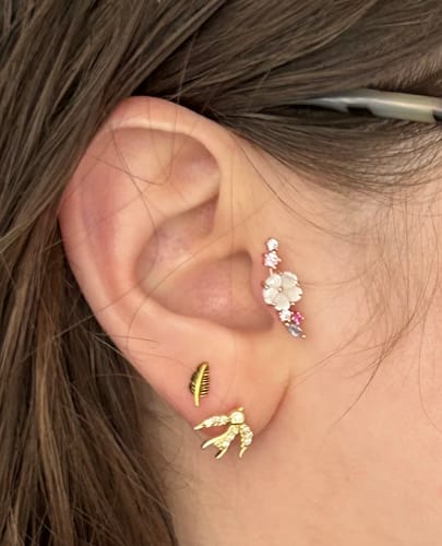 Customer photo review of Piercing Alba