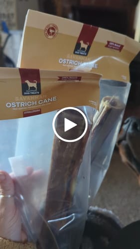 Customer video review of Medium Ostrich Cane (10" x 3"): The Long-Lasting, Flavor-Packed Chew for Medium & Large Dogs