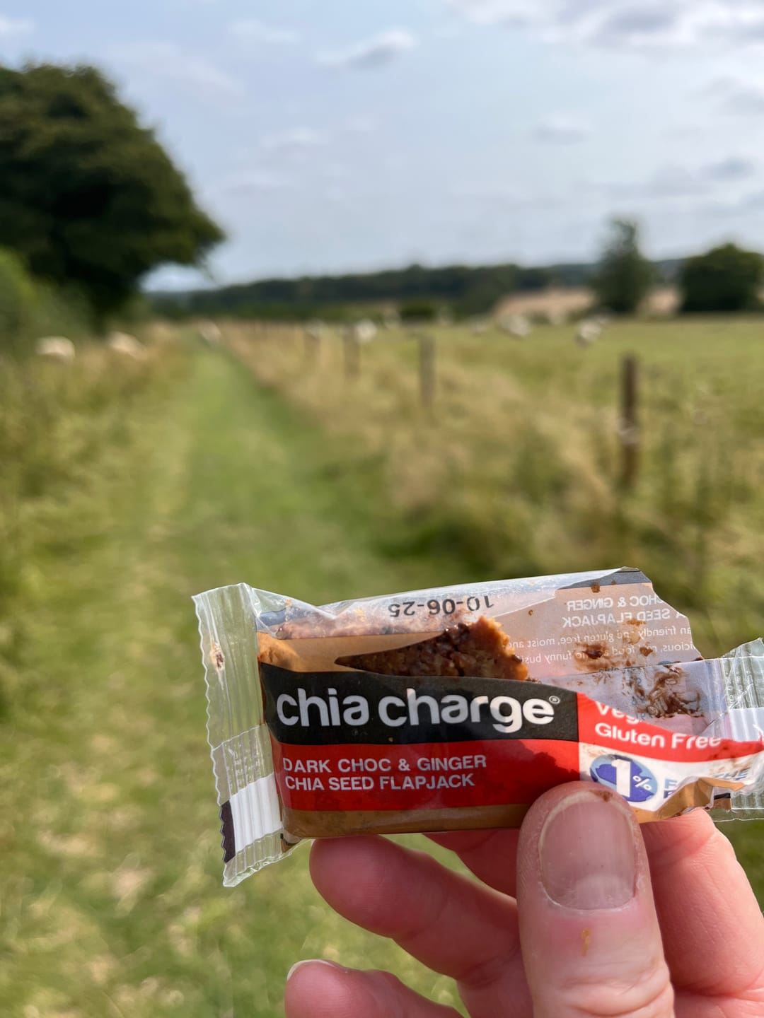 Customer photo review of Vegan & GF Mini Flapjacks 20  x 30g