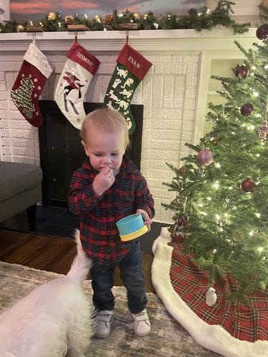 Customer photo review of Snack Pack Bundle