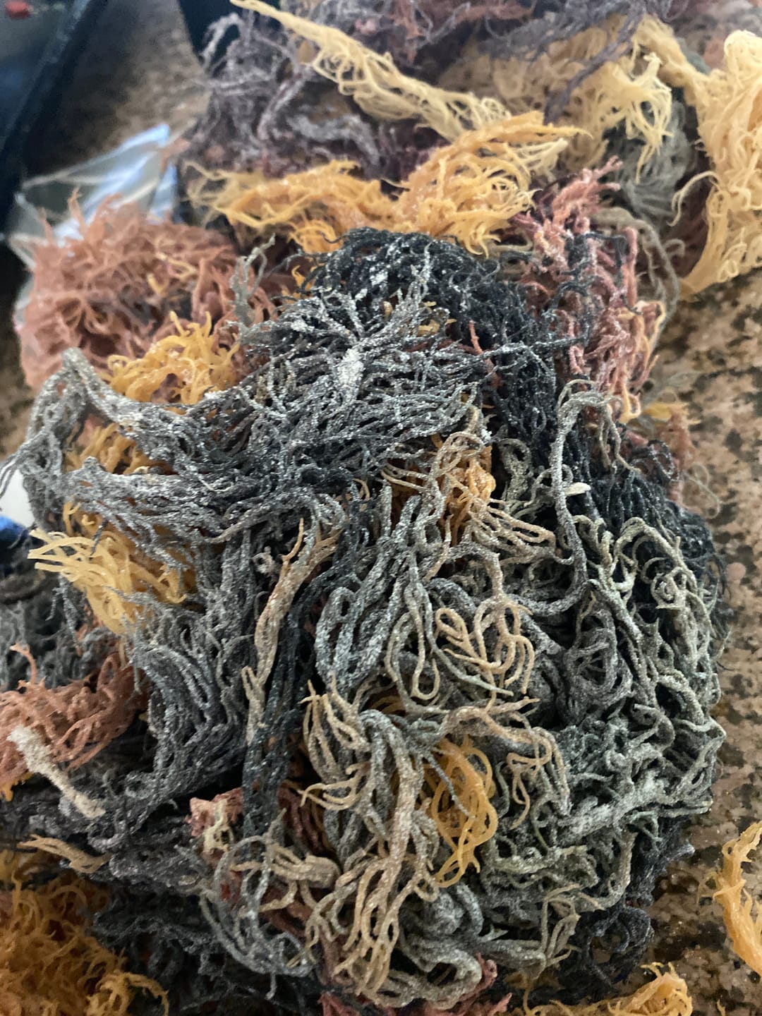 Customer photo review of Full Spectrum Irish Sea moss
