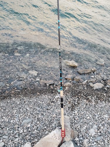 Customer photo review of 9'4" No Excuses Surf Travel Rod with Tube Medium-Heavy Action 3/4oz to 3oz
