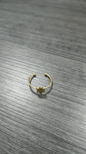 Customer photo review of Mini Eagle Ring