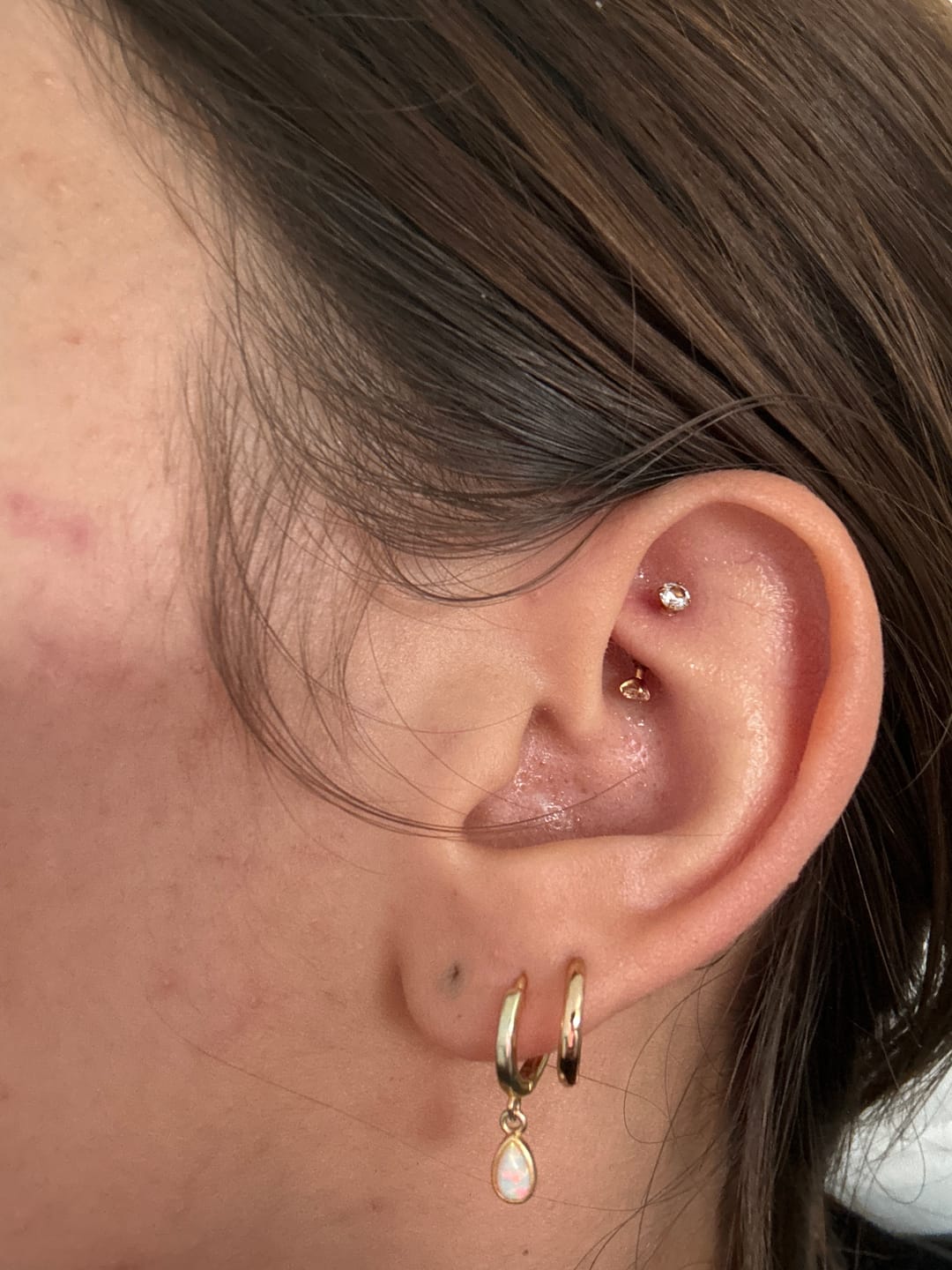 Customer photo review of Britney Rook Piercing | Titan