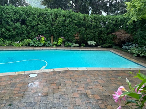 Customer photo review of Ascorbic Acid (Vitamin C), Food and USP Grade 12 kgs