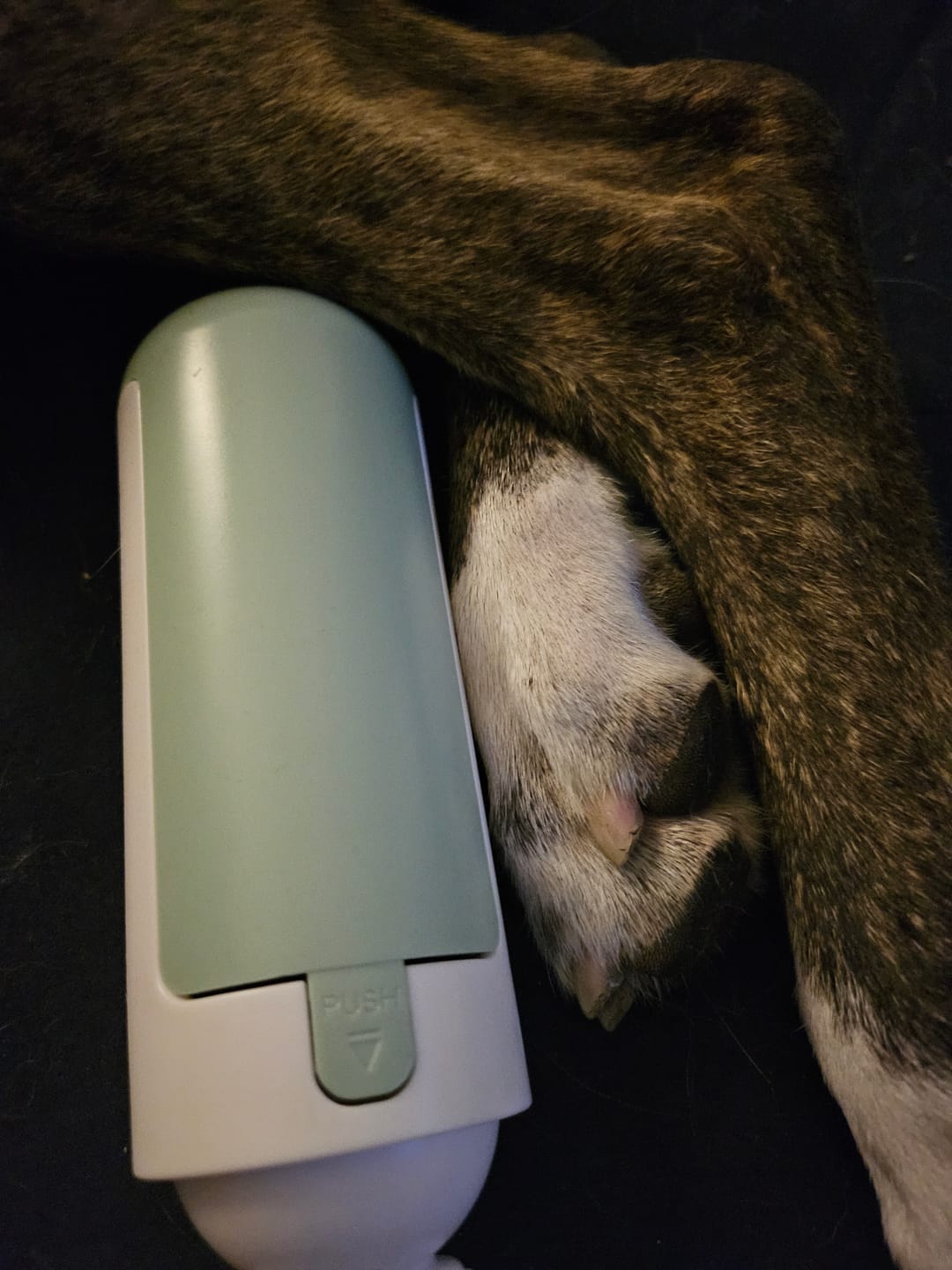 Customer photo review of Fuzzleroll