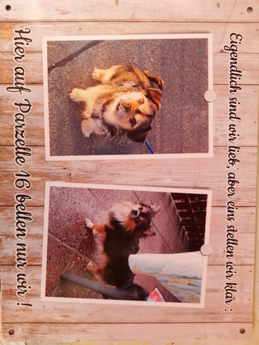 Customer photo review of Hunde-Türschild personalisiert mit Foto & Text (UV- und wetterfest)