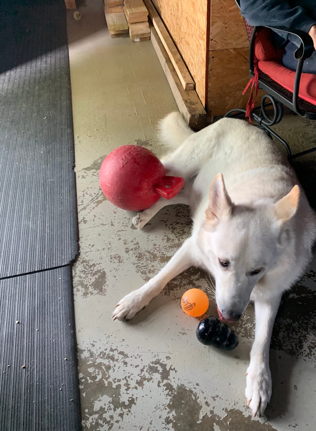 Customer photo review of Fetch & Glow Balls