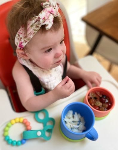 Customer photo review of Snack Pack Bundle