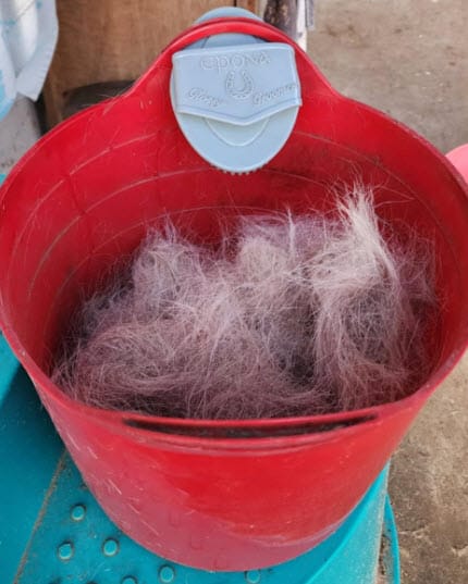 Customer photo review of Flexible Glossy Groomer