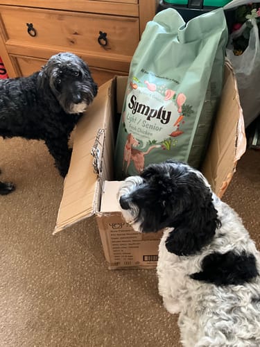 Customer photo review of Symply Adult Light / Senior Dog Food