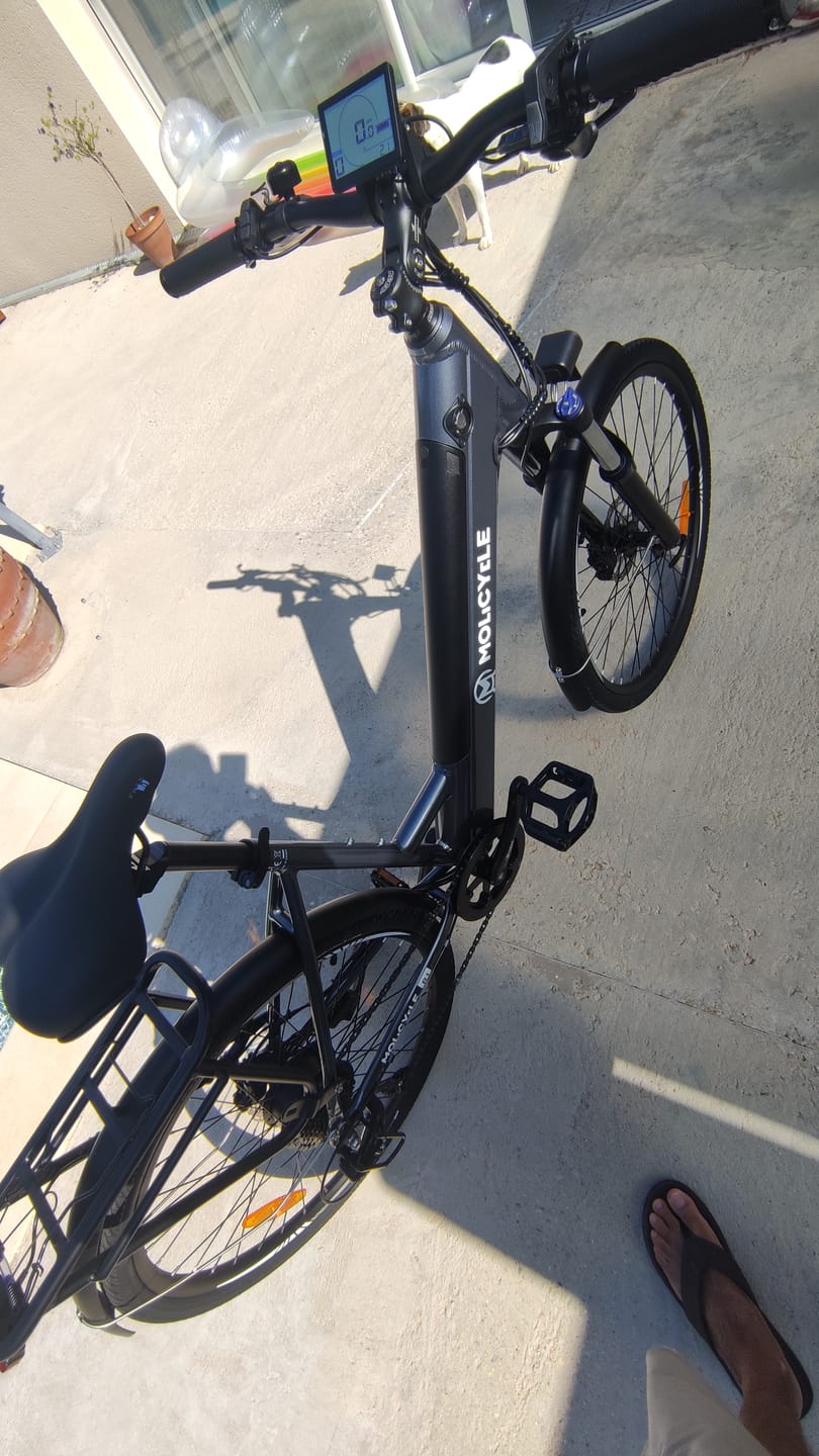 Customer photo review of Molicycle R1 250W 26" Electric Trekking Bike City E-bike 14.5Ah