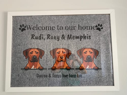 Customer photo review of Welcome to - Personalised Doormat