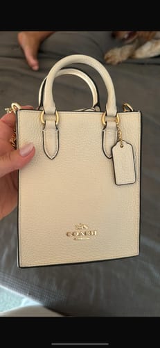 Customer photo review of North South Mini Tote (Gold/Chalk)