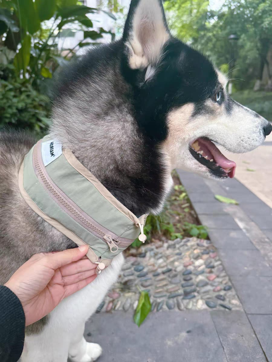 Customer photo review of Pet Cooling Ice Collar