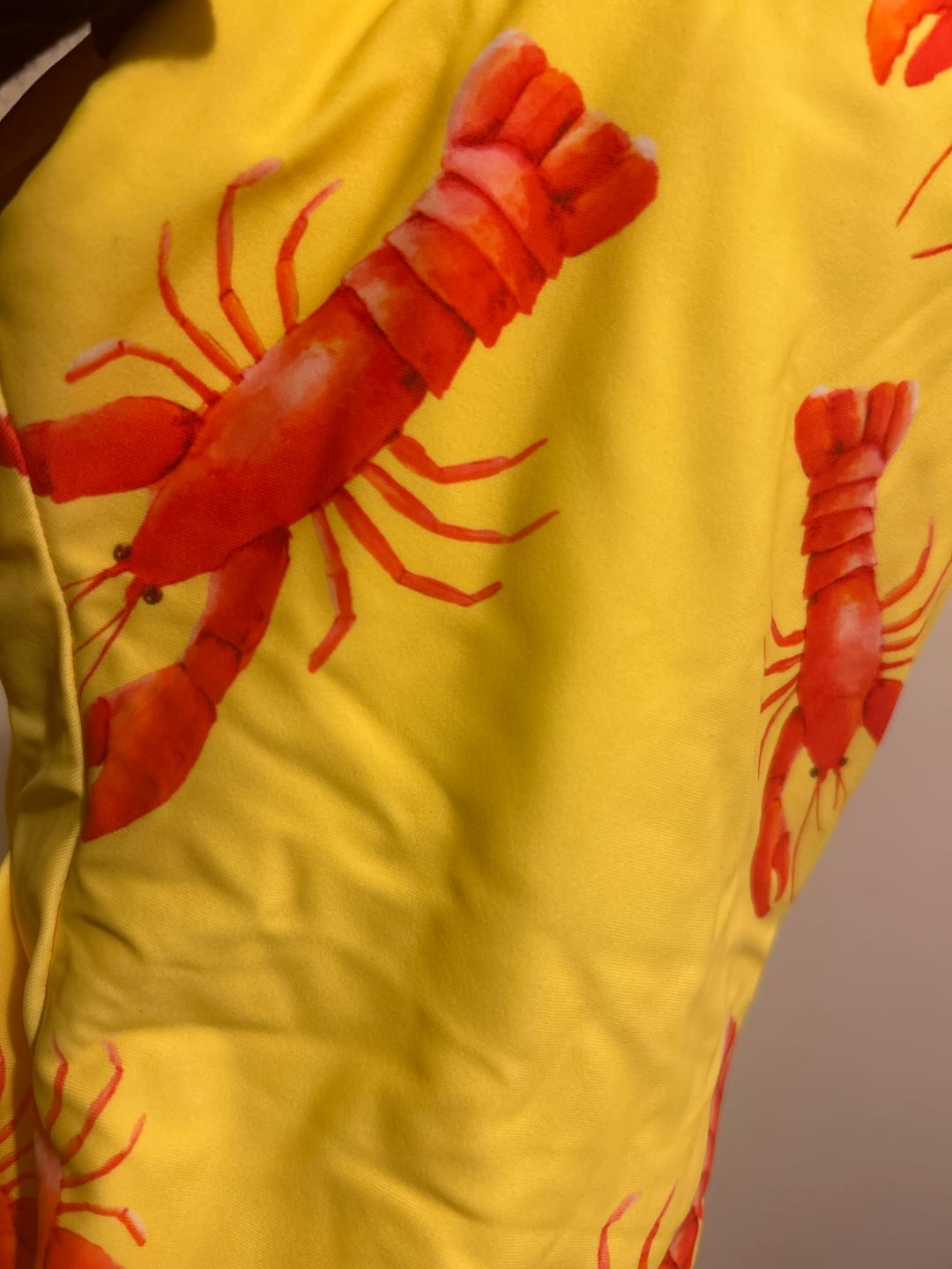 Customer photo review of Bright Lobster Girls Long Sleeve Zip Swimmers