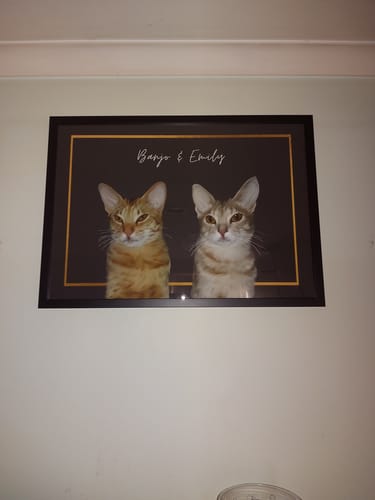 Customer photo review of Two-Pet Portrait