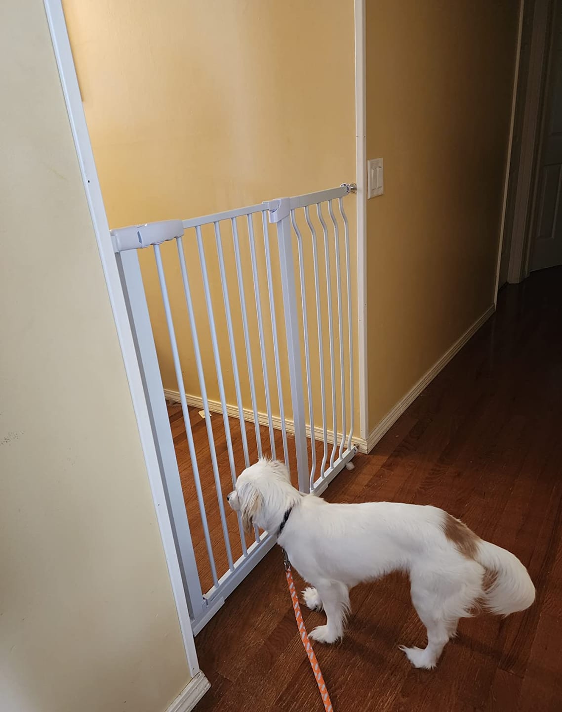 Customer photo review of FairyBaby 40" Extra Tall Baby Gate in Heavy Duty Design