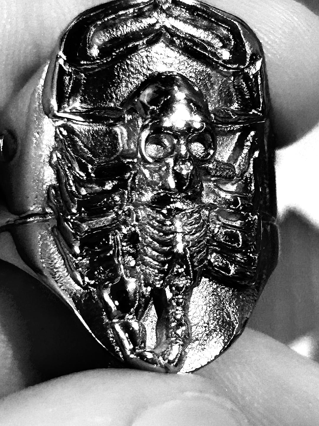 Customer photo review of RISING SCORPIO RING