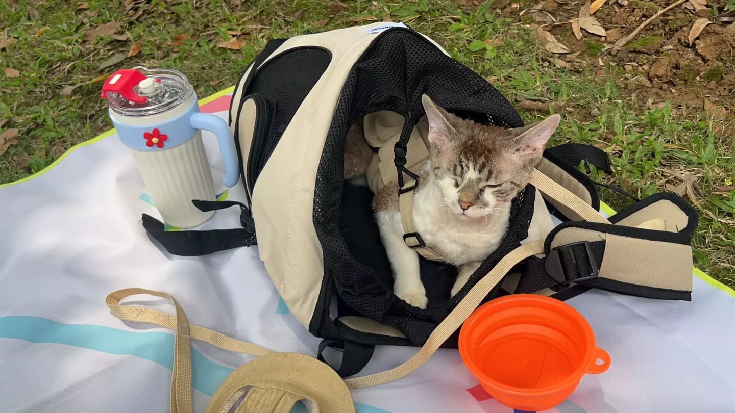 Customer photo review of Comfortable Labor-saving Front Pet Carrier