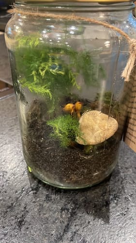 Customer photo review of Flaschengarten-Kindergeburtstags-Set