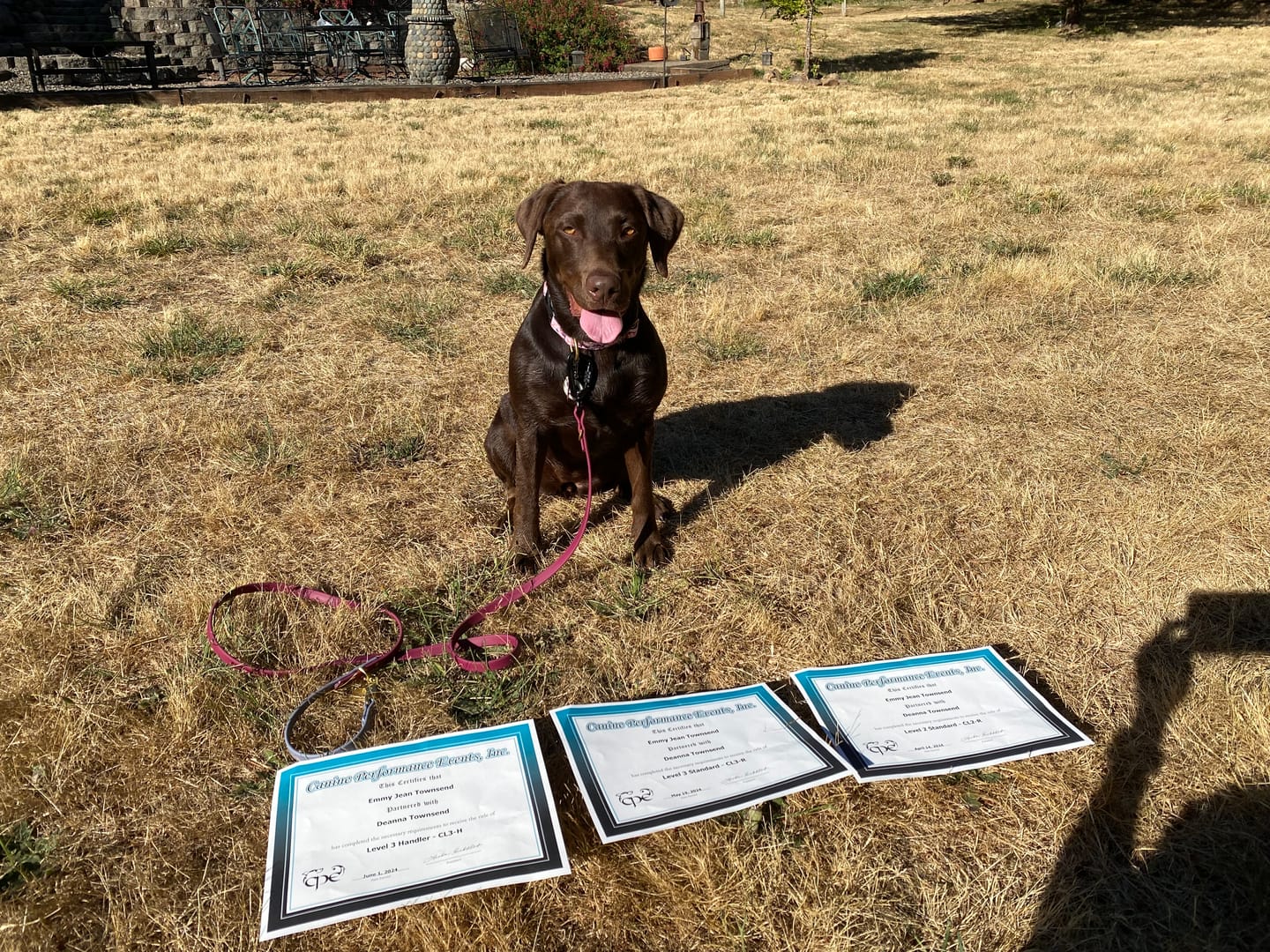 Customer photo review of Pinot - Classic Biothane Dog Leash
