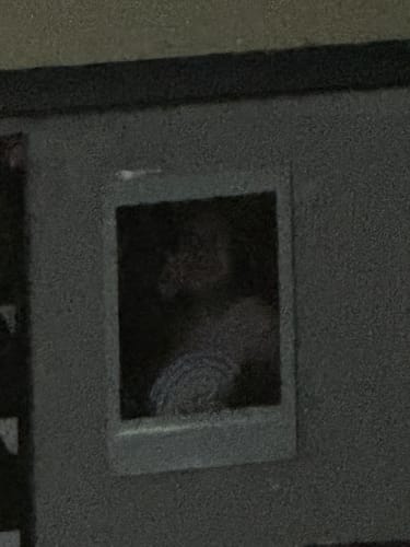 Customer photo review of Galaxy Rabbit Tee (Glow In The Dark)