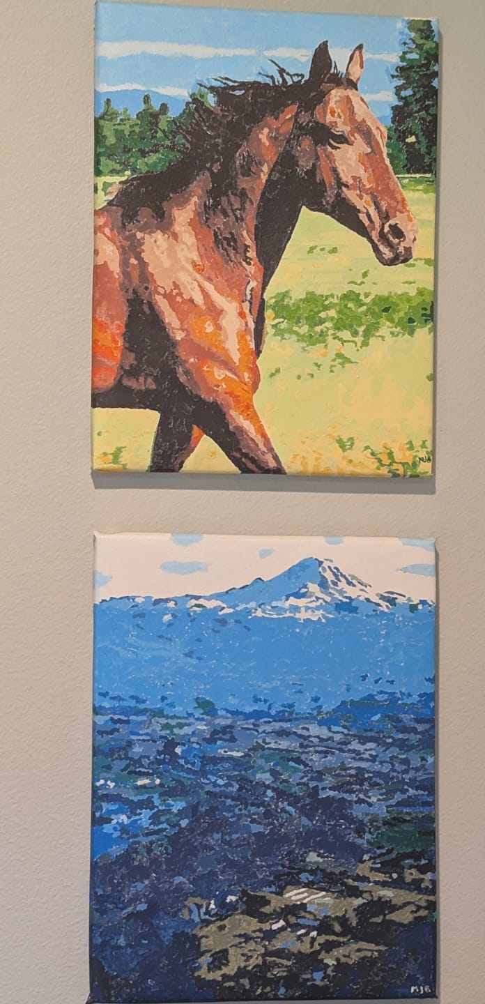 Customer photo review of Custom Paint By Numbers Kit | Just Upload Your Photo!