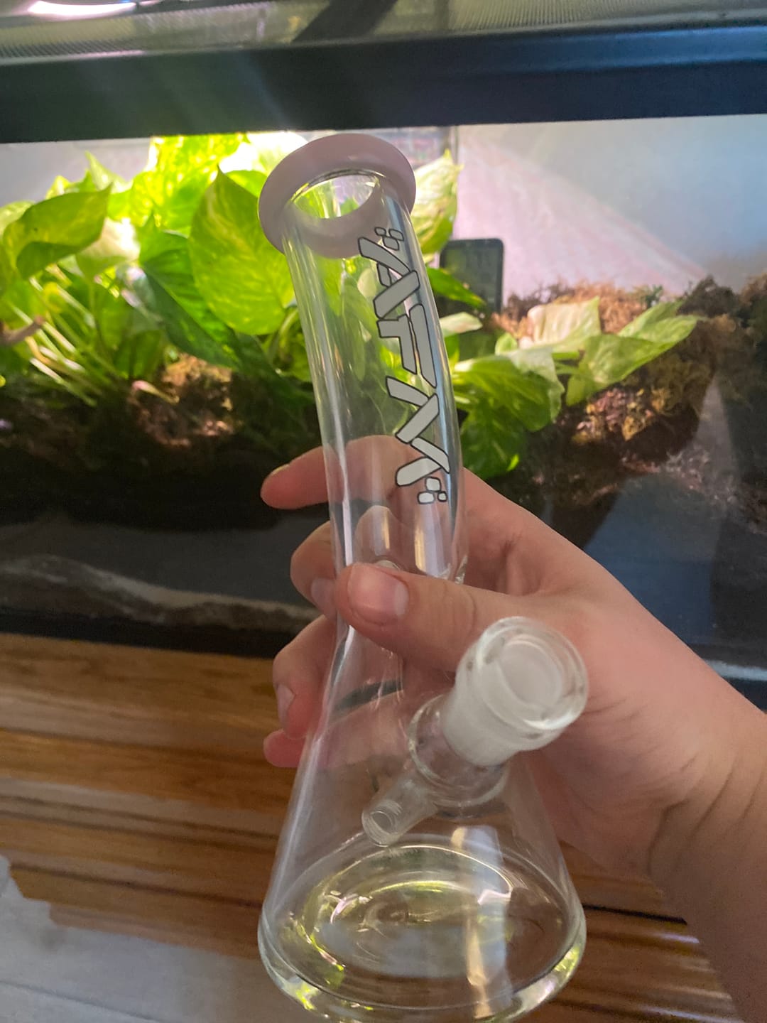 Customer photo review of 8" AFM Colored Lip Bent Neck Mini Beaker