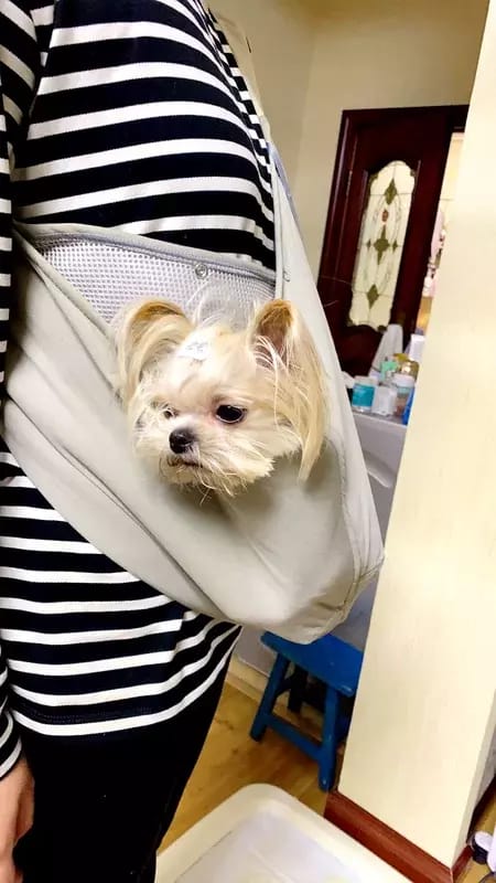 Customer photo review of Portable Pet Sling Carrier Bag With Pocket